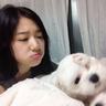 但愿人长久